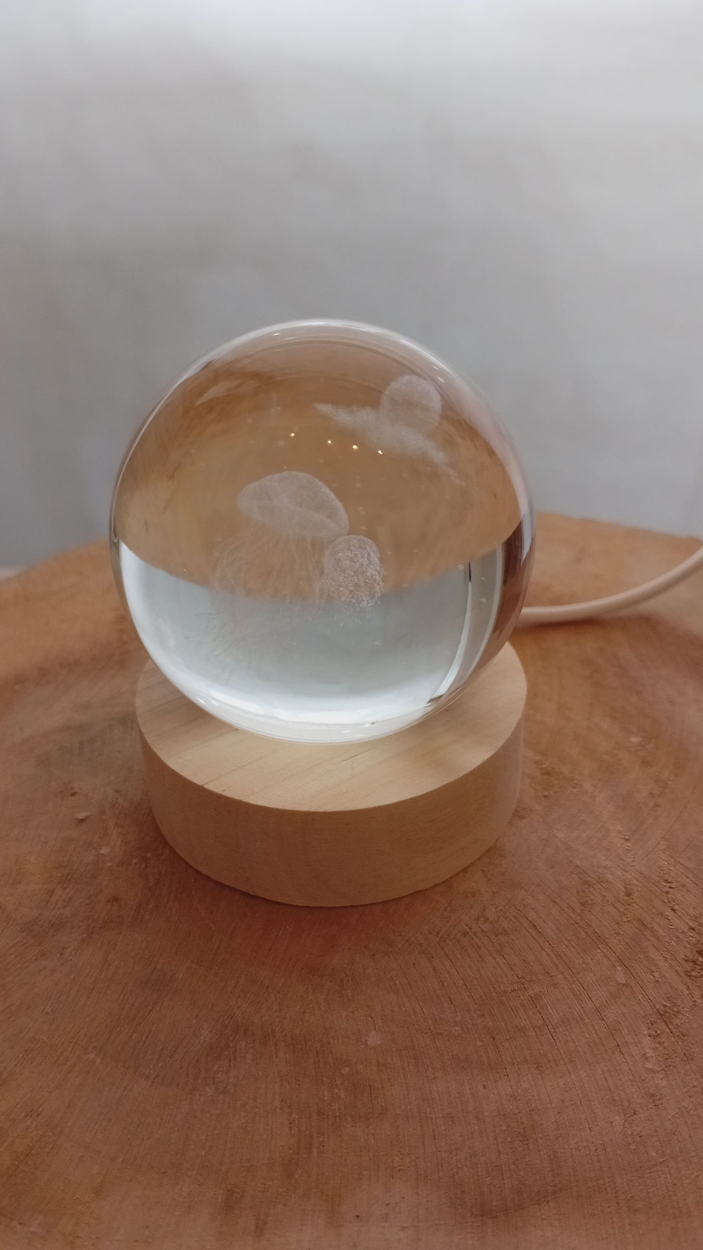 Lámpara de Medusas – Movimiento, Luz y Calma