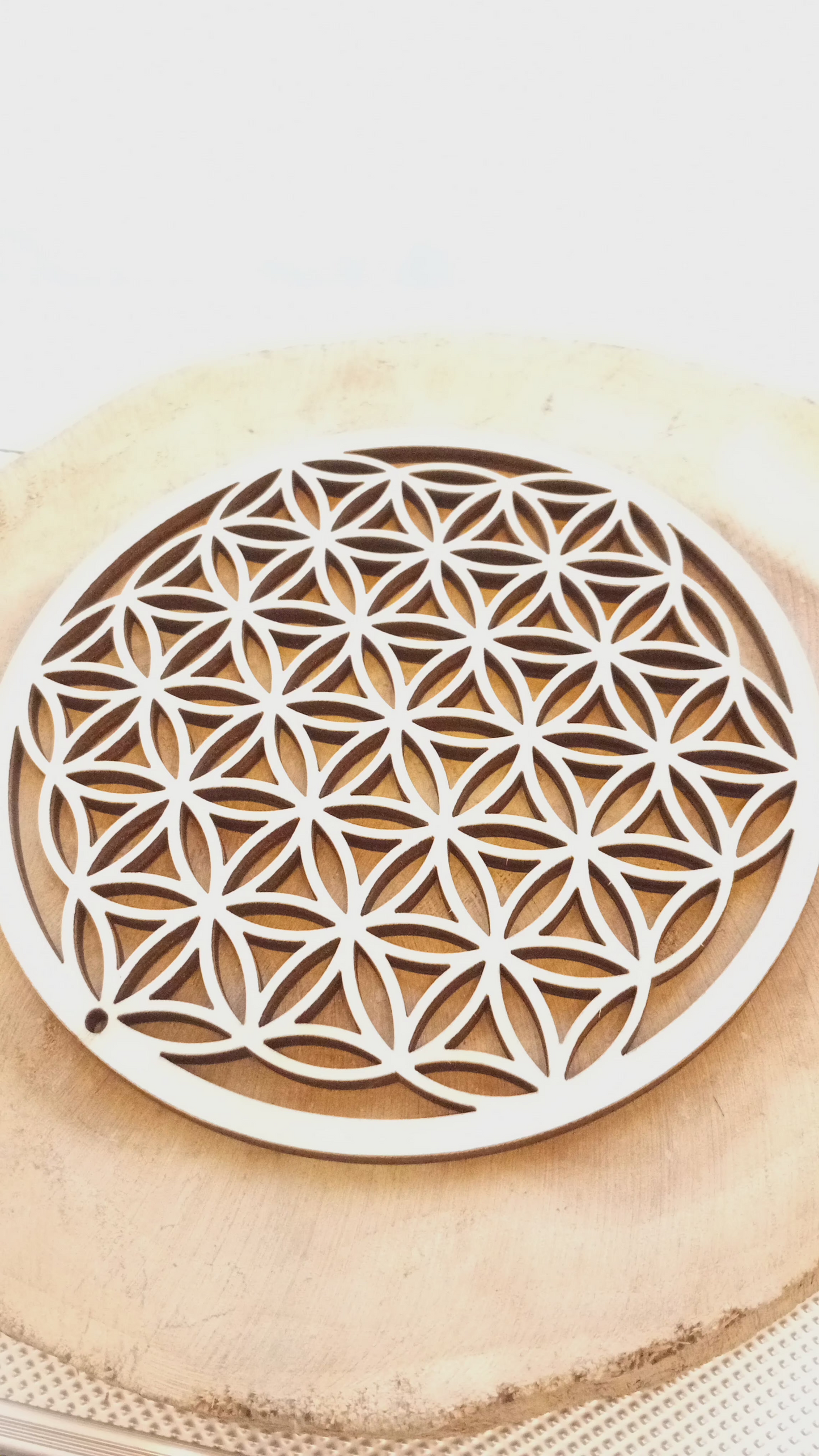 Flor de la Vida Geometria Sagrada de Creación y Unidad