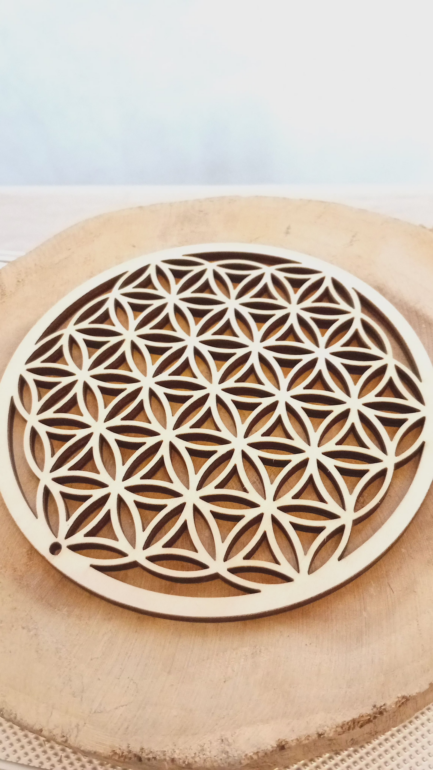 Flor de la Vida Geometria Sagrada de Creación y Unidad